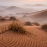 El Sáhara alcanzó 70 °C, murieron miles de millones de árboles y solo una técnica frenó la extinción definitiva de la vida en el desierto