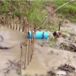 Sí, eso es una serpiente y este vídeo es completamente real, pero tiene truco