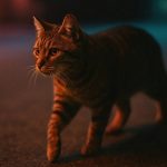 Los prompts para tener los mejores resultados en Sora 2