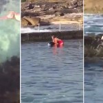 Una mujer saca a un tiburón de una piscina natural por un inesperado motivo