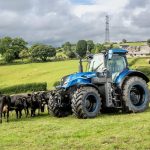 Desarrollan un tractor ecológico impulsado por estiércol de vaca