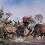 Spielberg tenía razón: el triceratops iba en manada