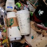 Los vasos de papel también son malos para el medio ambiente, según un estudio