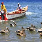 La ley venezolana recién aprobada que apuesta a empujar la exportación más allá del petróleo