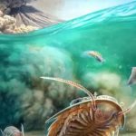 Hallados trilobites perfectamente conservados por la ceniza de un volcán