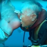 Un anciano japonés lleva más de 30 años visitando a este pez, increíble ¿verdad?