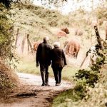 Los cuentos de nuestros abuelos: la memoria colectiva