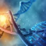 ADN de hace 45.000 años revela la historia oculta de la evolución humana