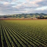 Por qué la agricultura es la mayor amenaza para la biodiversidad