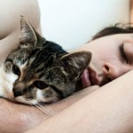 ¿Duermes con tu gato? Entonces, lee esto