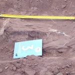 Hallan restos de dinosaurio de hace 140 millones de años en Argentina
