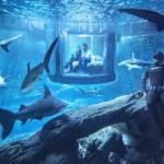 A través de Airbnb podrás pasar una noche en una habitación rodeada de tiburones