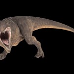 Scotty: encontrado en Canadá el Tiranosaurio rex más grande del mundo