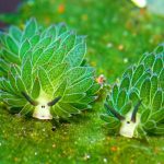 Conoce la Costasiella kuroshimae, la mezcla entre babosa y alga con cara de oveja