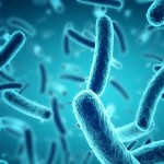Hay bacterias benéficas en el intestino que afectan la genética