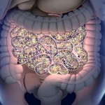 ¿Por qué los microbios manipulan nuestra mente?