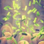 Crean por casualidad un antibiótico capaz de eliminar bacterias consideradas “intratables”