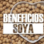 5 beneficios de la soya