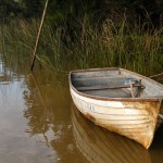Cruzando el rio