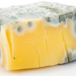 Por qué recomiendan que tires el queso entero si solo una parte tiene moho