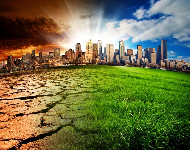 Revelan qué animal se extinguirá primero por el calentamiento global
