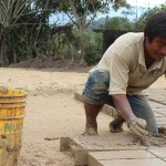 El nopal mejora las propiedades del concreto para la construcción