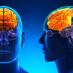 ¿Qué es el lóbulo frontal?