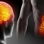 ¿Sabías que nuestro “segundo cerebro” no está en la cabeza, sino en el vientre?