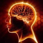 Omega-3, el mejor neuroprotector