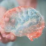 El claustro cerebral: ¿la puerta de la consciencia?