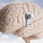 A qué he venido yo aquí y otros despistes del cerebro