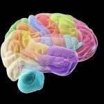 ¿Sabías que? Tu cerebro no soporta este color