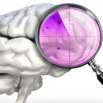 El cerebro puede ver lo que es «invisible» a los ojos