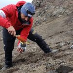 Científicos chilenos descubren en la Antártida bacterias hiperresistentes a antibióticos