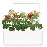 Click&Grow, el huerto inteligente para la cocina