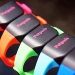 Petpuls Lab lanza los primeros traductores para perros y gatos