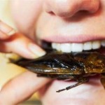 Comemos cerca de un kilo de insectos al año sin ser conscientes