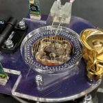 Científicos crean un ‘ordenador vivo’ utilizando 80.000 células cerebrales de ratón