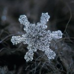 ¿Cómo se forma la nieve?