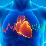 Desarrollan un parche que regenera el tejido cardiaco dañado