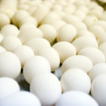 El dilema del huevo y la gallina