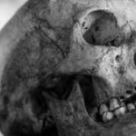Cráneos hallados en Grecia cambiarían lo que se sabe hasta ahora sobre la migración de los primeros homo sapiens