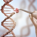 La técnica CRISPR puede causar un mayor daño genético en las células de lo que hasta ahora se pensaba.