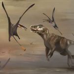 Descubren una nueva especie de pterosaurio jurásico de hace 170 millones de años, el más grande que se conoce de este periodo