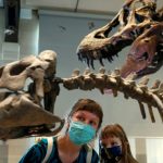 ‘Dinosaurios en duelo’: los fósiles de un T-Rex y un Triceratops en plena batalla