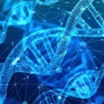 ¿Qué es la tecnología de impulsores genéticos y por qué pone a la biodiversidad en riesgo?
