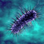 Crean un organismo semisintético capaz de crear moléculas artificiales