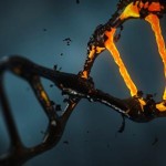 Primer intento de editar el ADN dentro del cuerpo de un paciente
