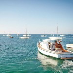 Botes, lanchas, cruceros: Enemigos de la naturaleza