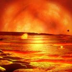 ¿Qué especie dominaría la tierra si los seres humanos desaparecieran?